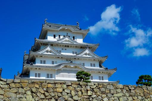 そびえる姫路城の天守閣 そびえる姫路城の天守閣 姫路城,天守閣,建物の写真素材