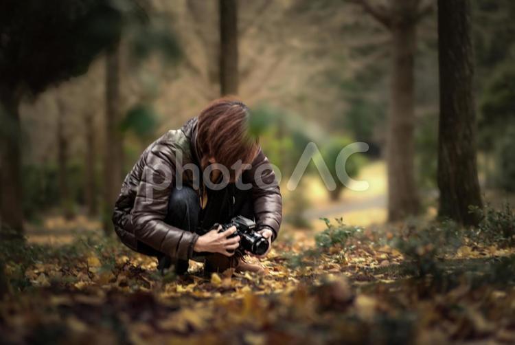 ＜素材＞秋の森の中で写真撮影をする女性 女性,人物,風景の写真素材