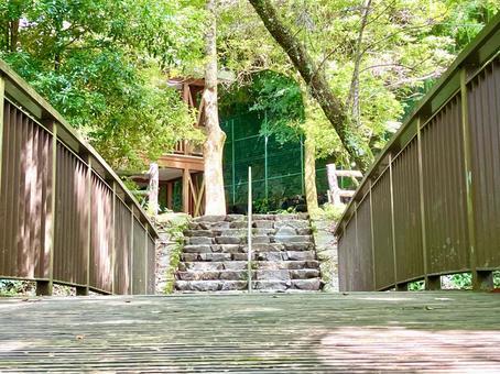 橋と自然 橋と自然 橋,柵,道の写真素材