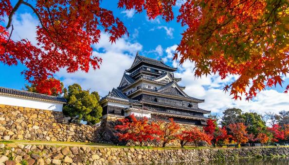 秋の紅葉が美しい城郭 秋の紅葉が美しい城郭の写真