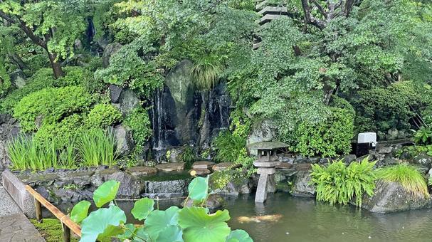 坂東33観音 04番 長谷寺 放生池 坂東33観音 04番 長谷寺 放生池 長谷寺,海光山,慈照院の写真素材