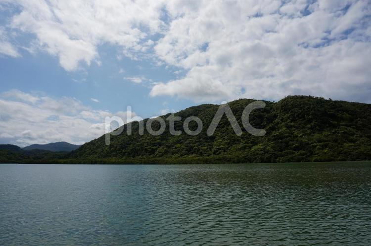 石垣島の森林風景 海,森林,沖縄の写真素材