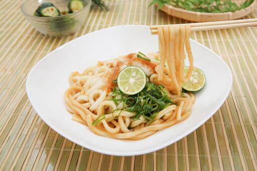 すだちうどん すだちうどん,うどん,ぶっかけうどんの写真素材