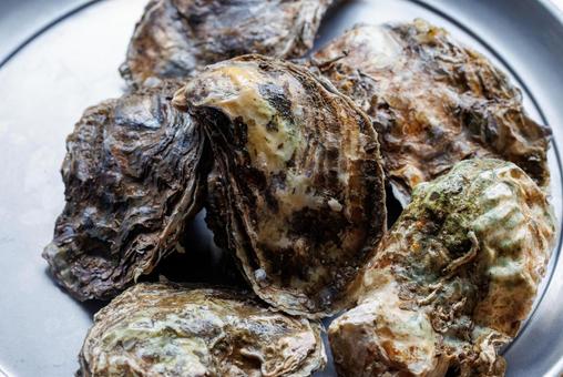 牡蠣 牡蠣,カキ,オイスターの写真素材