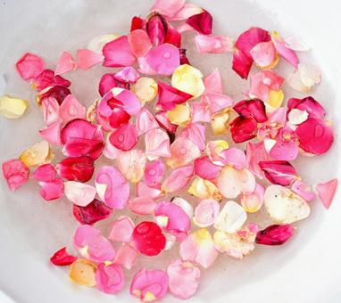 想いを浮かべての写真