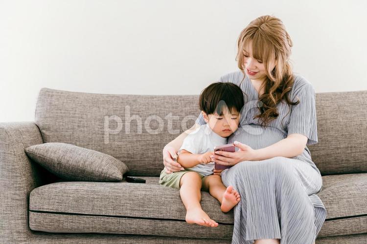 子供とスマホを見る妊娠中の日本人女性 親子,スマホ,子供の写真素材