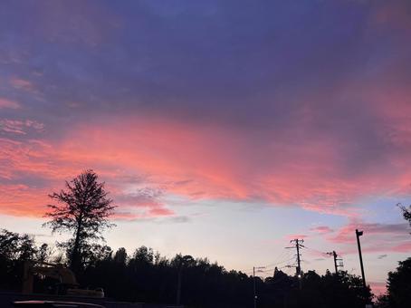 ピンク色の夕焼け空 ピンク色の夕焼け空 夕焼け,夕暮れ,空の写真素材