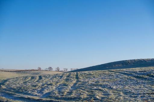 青空の下、影が伸びる霜の丘 丘,牧草地,樹木の写真素材