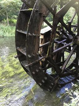水車 水車,川,自然の写真素材