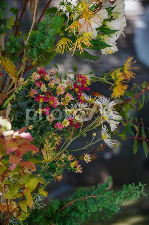 東京赤坂の氷川神社にある手水舎の生け花 いける,ダイナミック,境内の写真素材