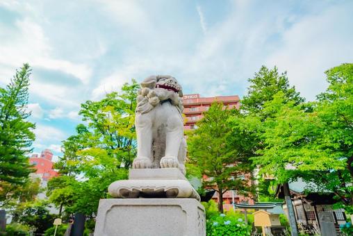 Photo, aomori, a shrine, zenchitori shrine, 
