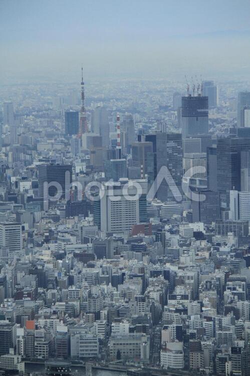 都会を上から眺めてみる 東京,首都,タワーの写真素材