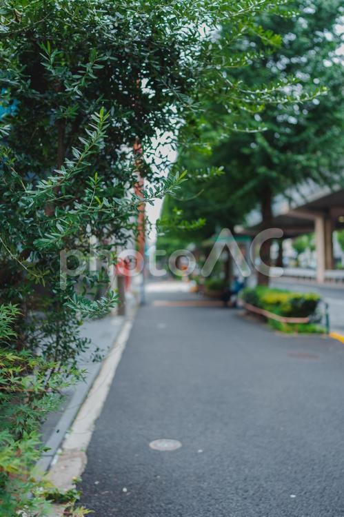 六本木通りの歩道 六本木通り,歩道,屋外の写真素材