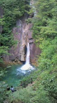 滝 見つけた 滝 見つけたの写真