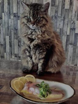 Photo, fish dishes, japanese food, simmered mars, 