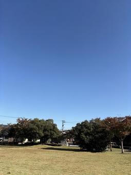 青空と木の写真