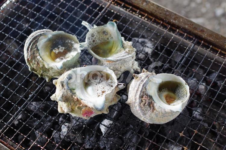 サザエのつぼ焼きバーベキュー つぼ焼き,サザエ,バーベキューの写真素材