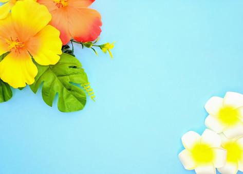 夏 イメージ④ 夏 イメージ④の写真