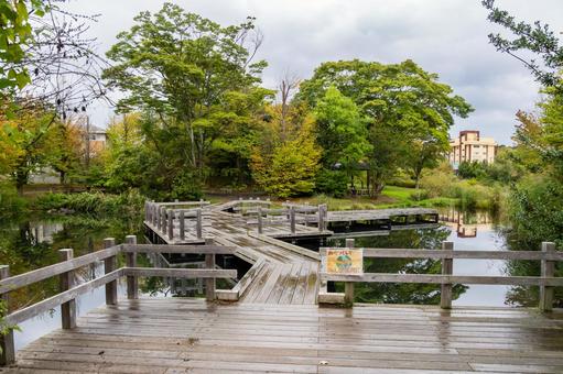 天沼公園の風景⑴ 天沼公園の風景⑴ 公園,天沼公園,木々の写真素材
