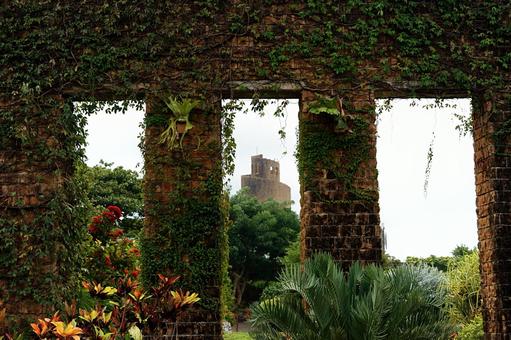 コントラストの風景 (煉瓦・緑・空) オキナワ,熱帯ドリームセンター,自然の写真素材