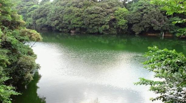 池 池の写真