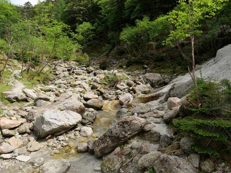鳳凰三山のドンドコ沢登山道 鳳凰三山のドンドコ沢登山道の写真