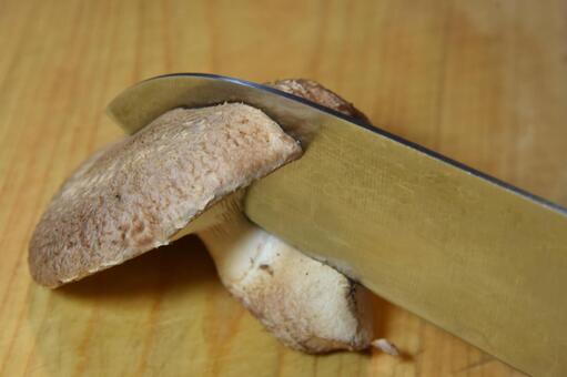 しいたけを包丁で切る しいたけ,椎茸,生しいたけの写真素材