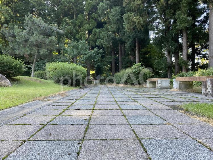 古びた公園の石畳と風景／ヨコ 石,石畳,背景の写真素材