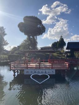 水田天満宮・恋木神社・七五三 水田天満宮,恋木神社,福岡県筑後市の写真素材