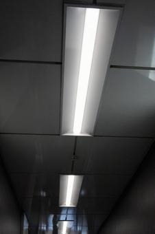 蛍光灯 蛍光灯の写真