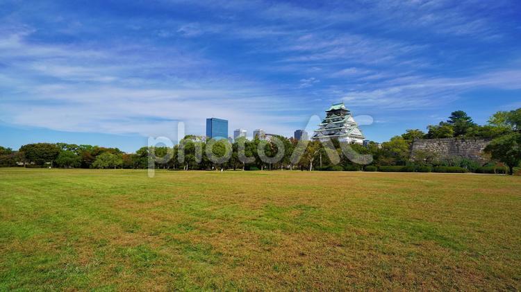 大阪城西の丸庭園の景色 大阪城,お城,大阪城公園の写真素材