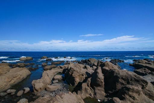 野島崎 野島崎の写真
