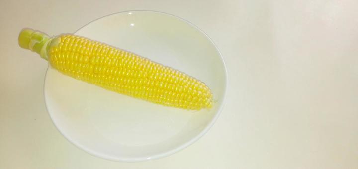 とうもろこし フリースペース とうもろこし フリースペースの写真