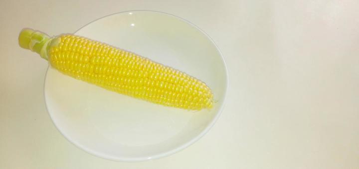 corn free space, mais, mais, mais, JPG