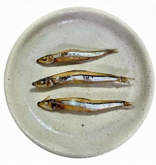 きびなごの煮付け小皿 きびなご,魚,小魚の写真素材
