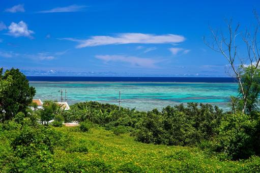 小浜島 沖縄,小浜島,観光地の写真素材