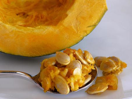 カボチャの種 わた,カボチャ,パンプキンの写真素材
