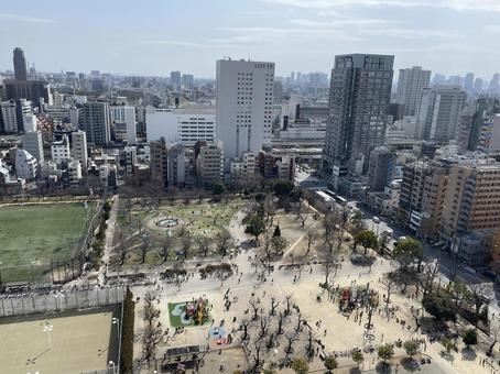 錦糸町公園 錦糸町公園 錦糸町,錦糸町公園,眺望の写真素材