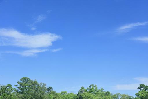 6月の梅雨に訪れた爽やかな青空 青空,晴天,空の写真素材