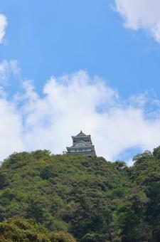 7月下旬の金華山と岐阜城の天守 7月下旬の金華山と岐阜城の天守 金華山,山,岐阜城の写真素材