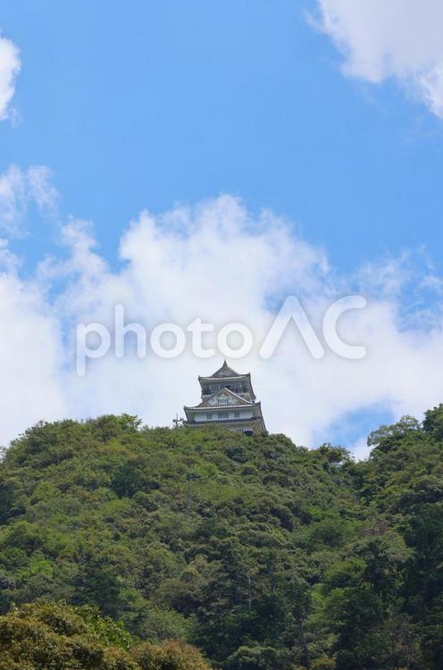 ７月下旬の金華山と岐阜城の天守 金華山,山,岐阜城の写真素材