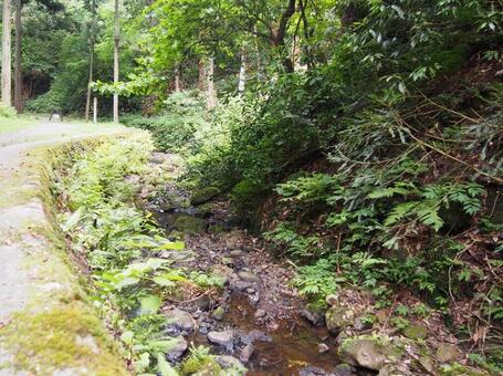 歩いてきた道の写真