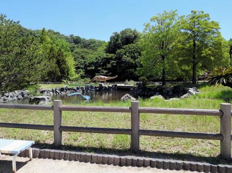 笠岡市立カブトガニ博物館 カブトガニ博物館,岡山県,笠岡市の写真素材