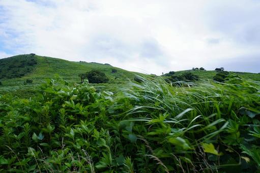 自然の風景 自然の風景の写真