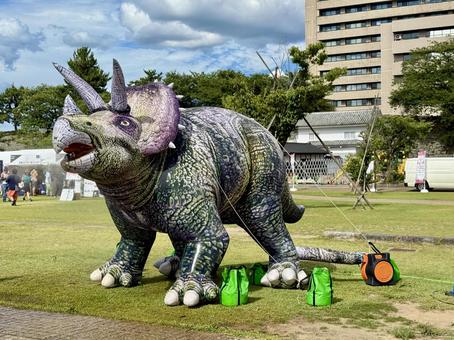 福井県庁での祭り　恐竜のバルーン トリケラトプス,恐竜,バルーンの写真素材