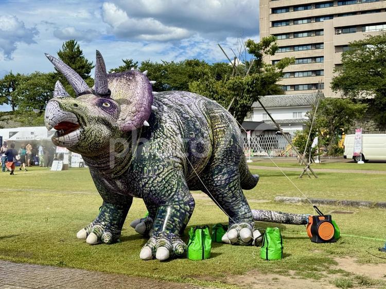 福井県庁での祭り　恐竜のバルーン トリケラトプス,恐竜,バルーンの写真素材