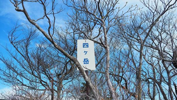 四ヶ岳 四ヶ岳の写真