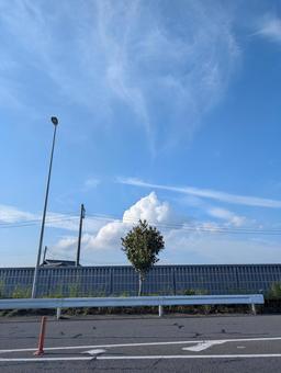 雲と樹木 雲と樹木 樹木,空,雲の写真素材