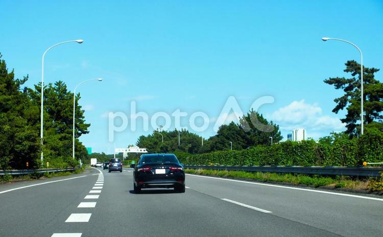 高速道路の街路樹　颯爽とドライブ 高速道路,ハイウェイ,街路樹の写真素材
