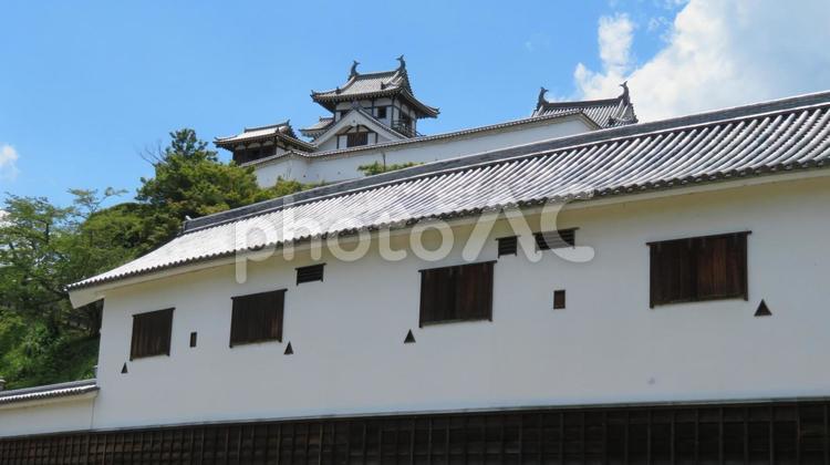 福知山城　天守閣を望む 福知山城,横山城,臥龍城の写真素材